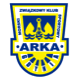 Team logo